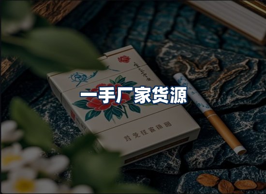 专业团队办公环境